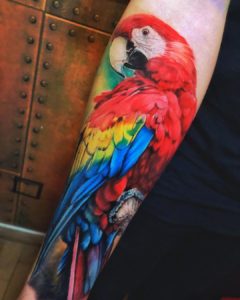 tattoo hamburg elea farbe papagei