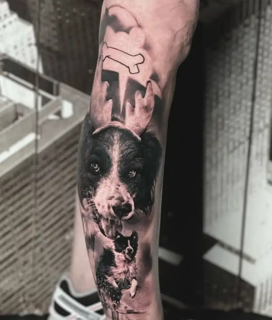 realistisches hunde portrait an einem bei sleeve gestochen in kiel